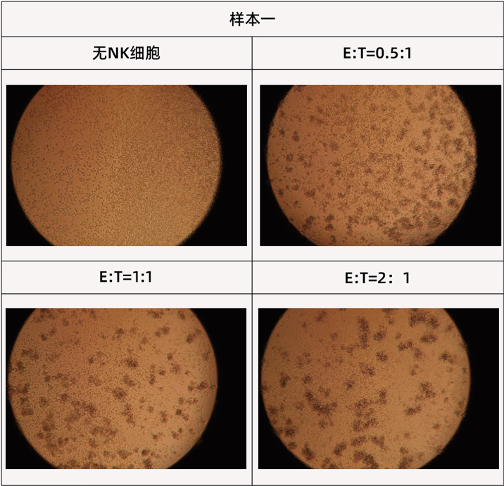 样本716.jpg