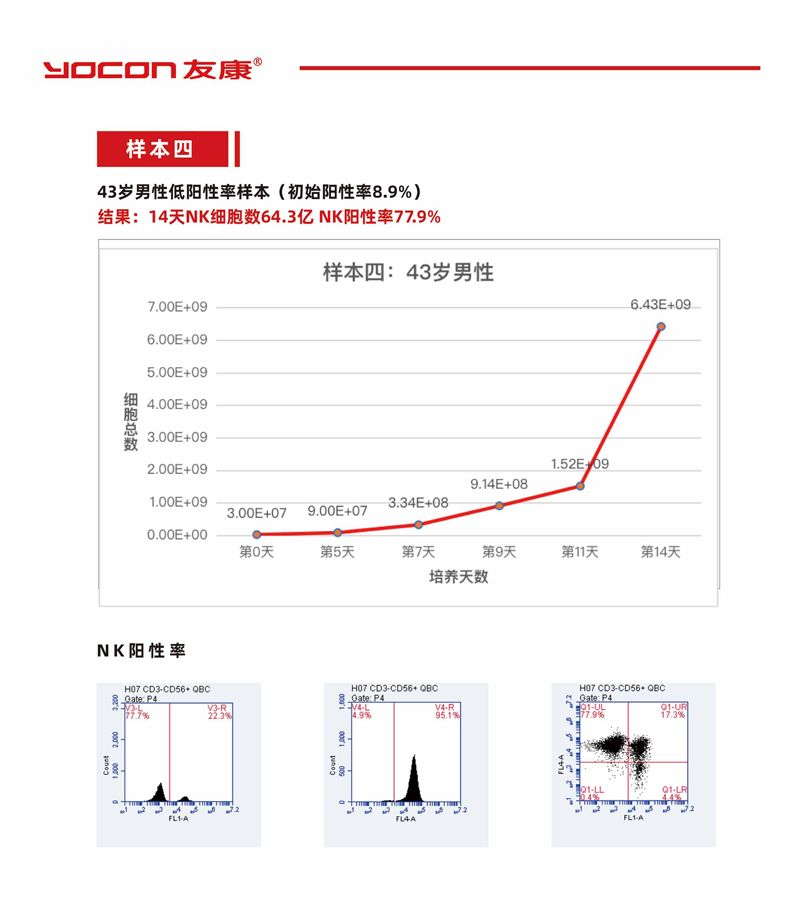 网页版四.png