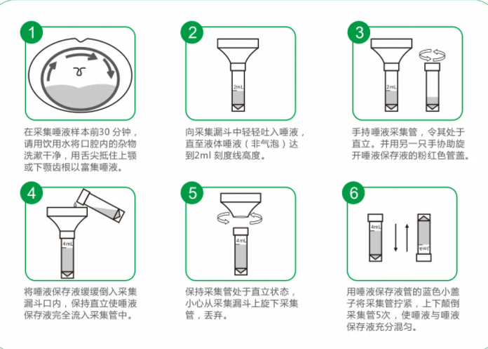 唾液采集器