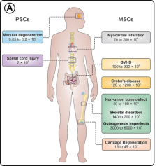 1763704116570418.png image.png