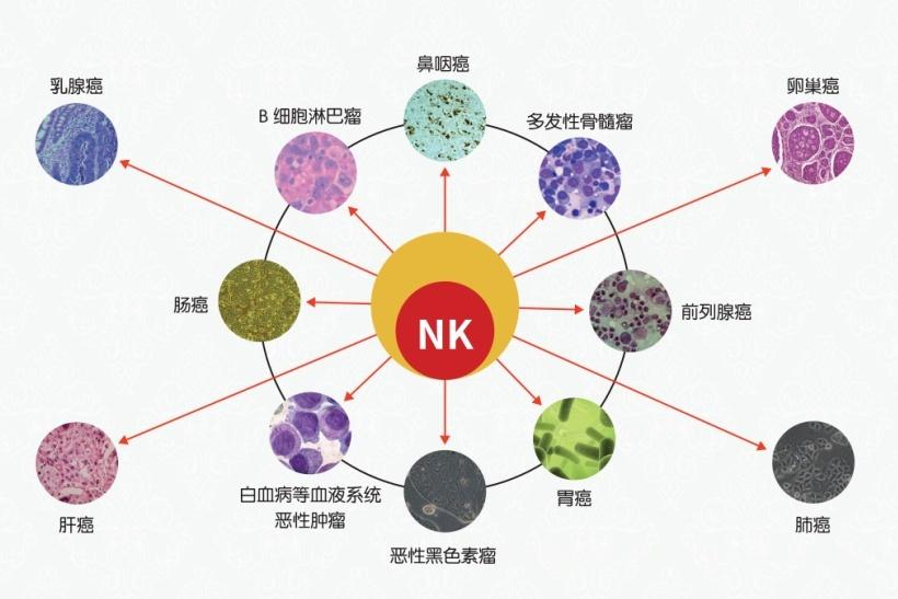 1764896764380930.png 图片1.png