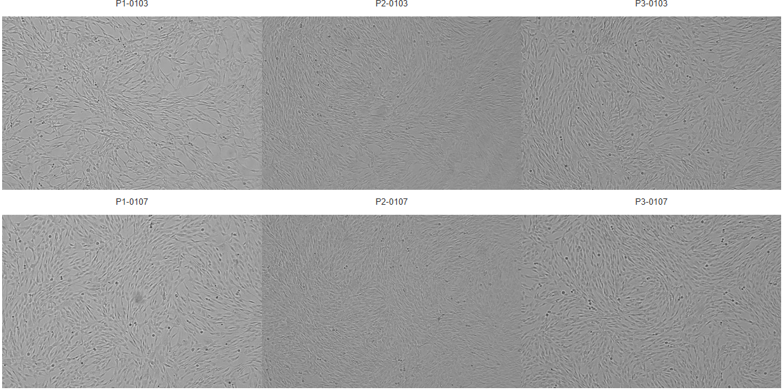 1781599324913349.png 86f525a19fc66f7cdbb8e4856fb61334.png