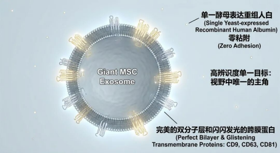 1785288261685721.png image.png