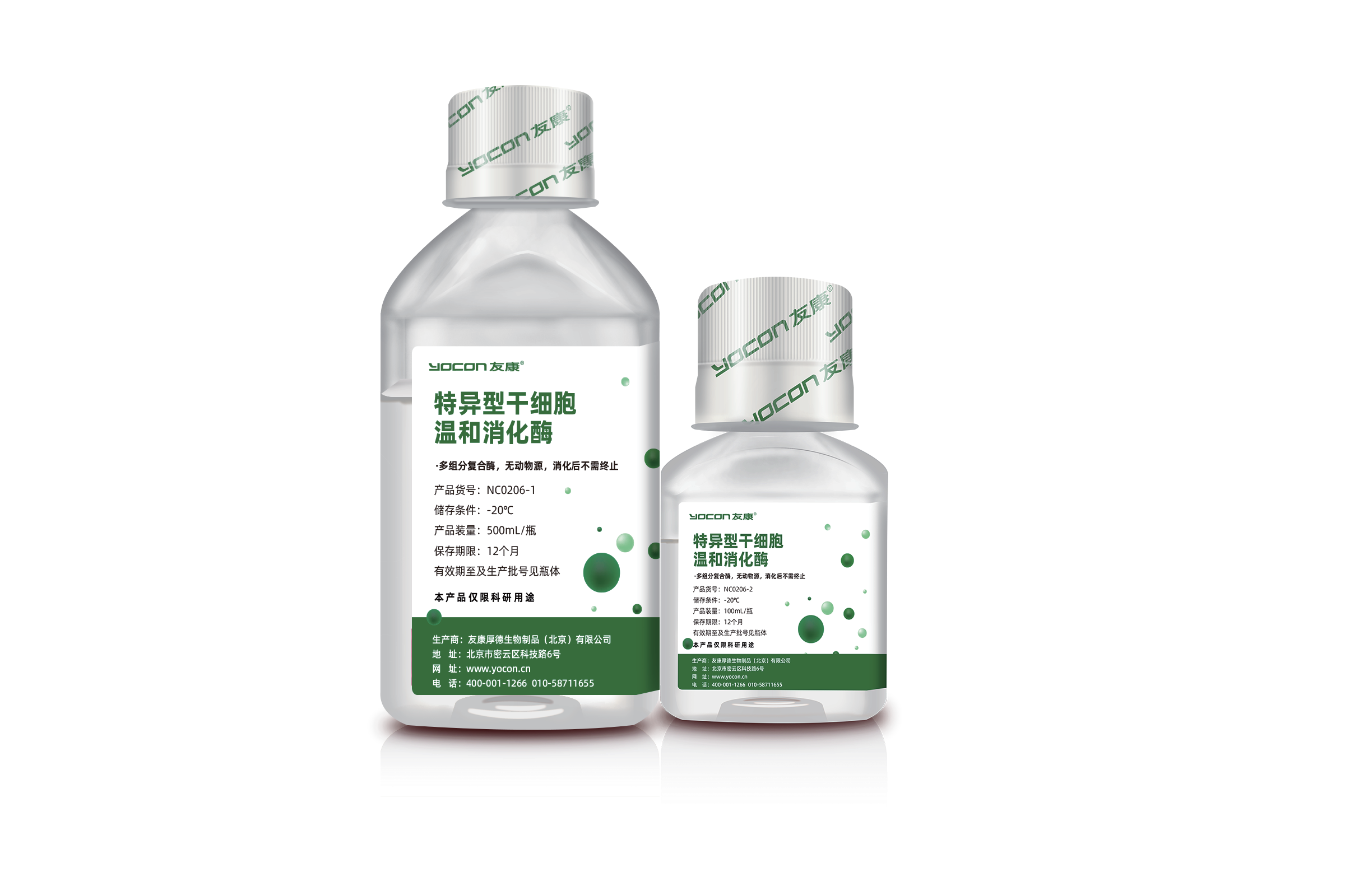 特异型干细胞温和消化酶